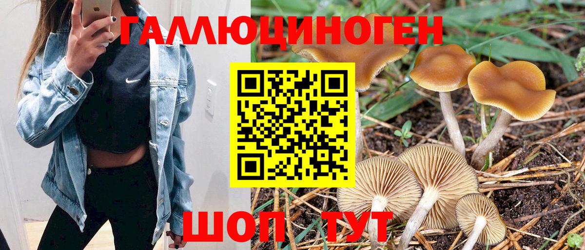 Галлюциногенные грибы MAGIC MUSHROOMS Приморско-Ахтарск