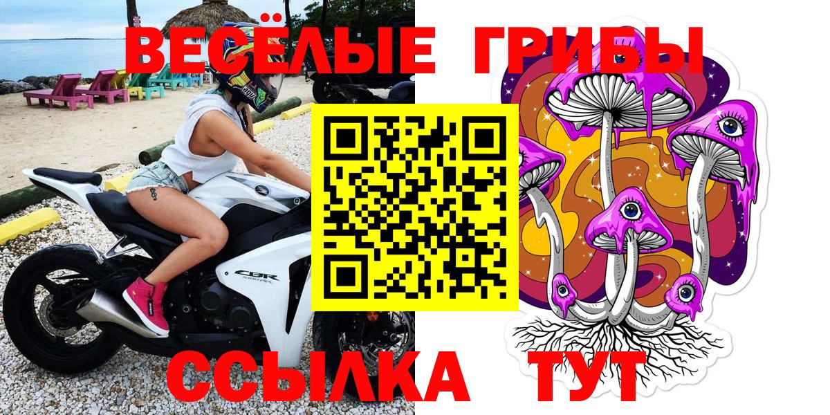 Приморско-Ахтарск  где продают   Вход с VPN  Галлюциногенные грибы ЛСД 